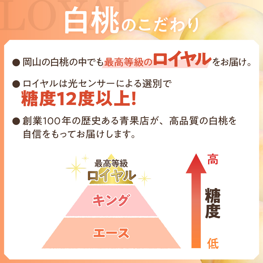 岡山県産 シャインマスカット晴王×白桃　『高品質１kgセット』