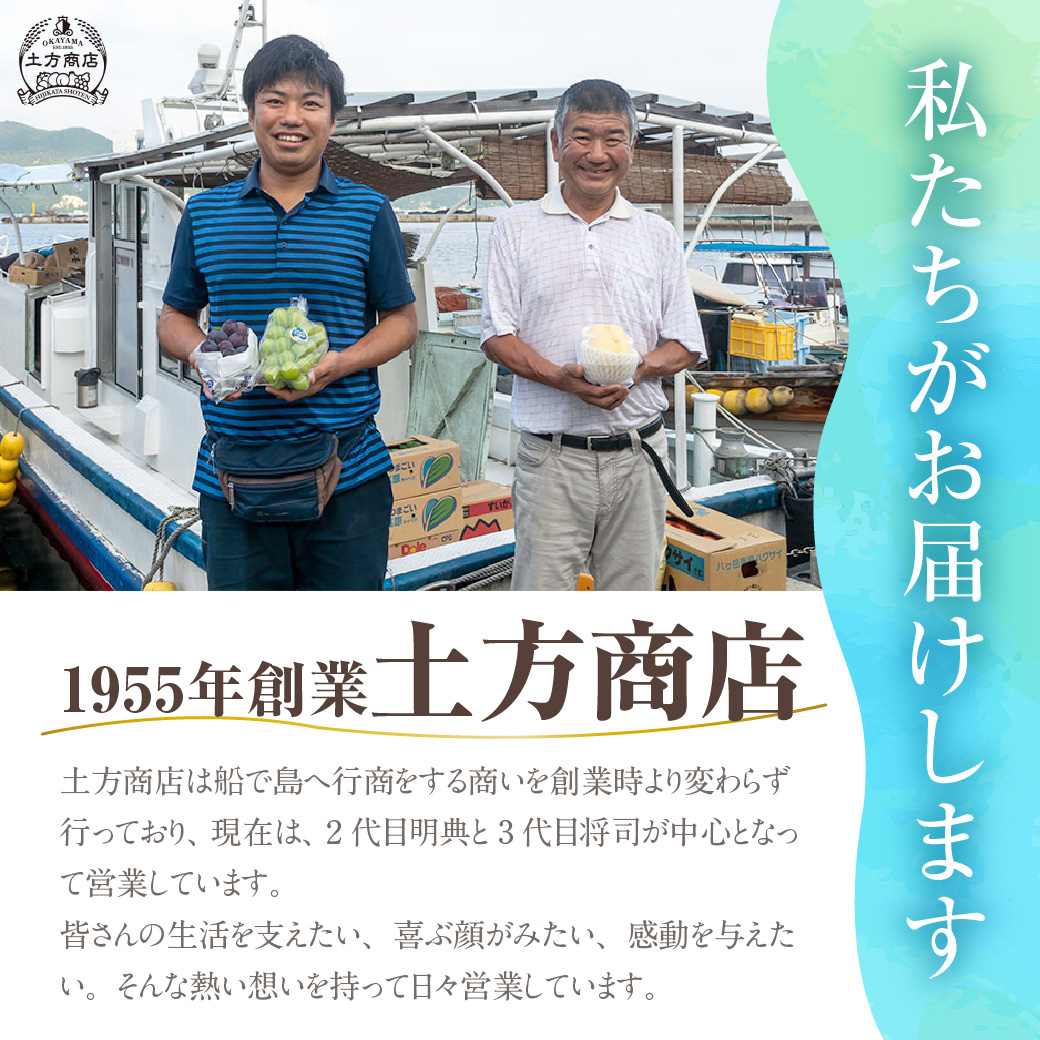 【2025年発送分 先行受付スタート！】岡山県産シャインマスカット「晴王」　特選　大房　化粧箱入　1房（約700g）（令和７年8月中旬以降発送）