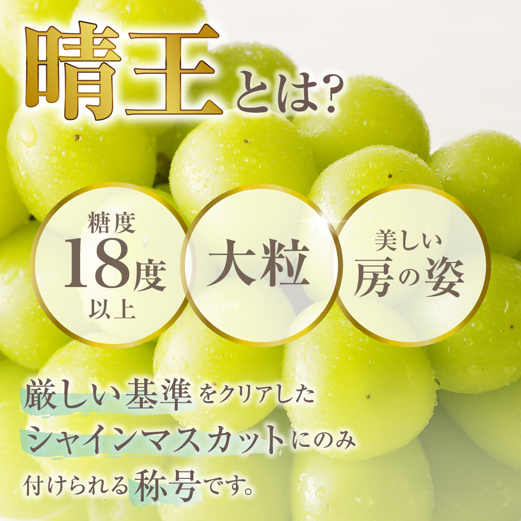 【2025年発送分 先行受付スタート！】岡山県産シャインマスカット「晴王」　特選　大房　化粧箱入　1房（約700g）（令和７年8月中旬以降発送）