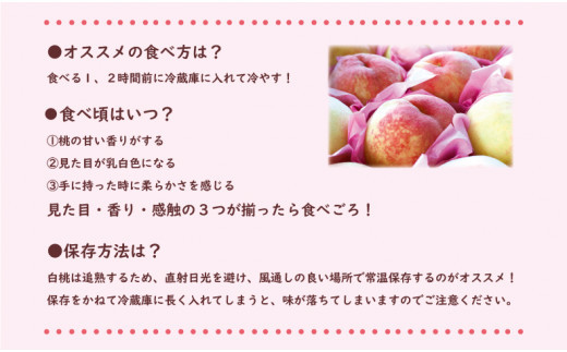 【2025年発送分 先行受付スタート！】岡山県産 白桃 最高ランク！ロイヤル約2kg（令和７年7月以降発送）