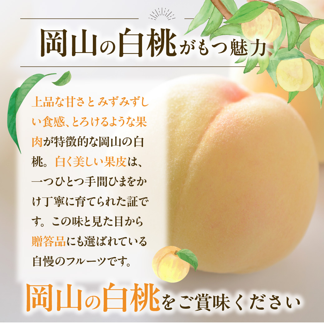 【2025年発送分 先行受付スタート！】岡山県産 白桃とニューピオーネのセット（令和７年7月以降発送）