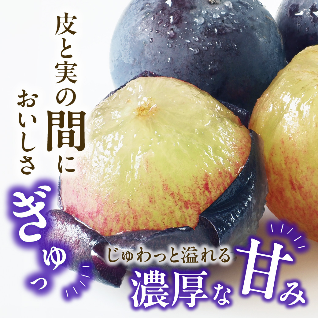 【2025年発送分 先行受付スタート！】岡山県産 白桃とニューピオーネのセット（令和７年7月以降発送）