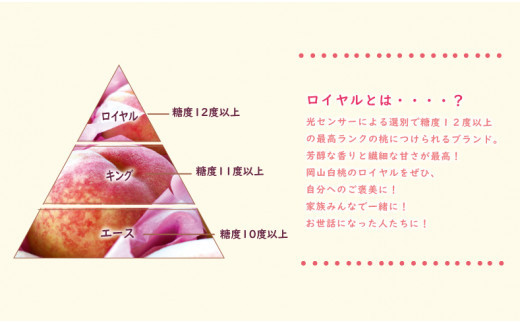 【2025年発送分 先行受付スタート！】【定期便】岡山県産 白桃 最高ランク！ロイヤル約4kg×3回発送