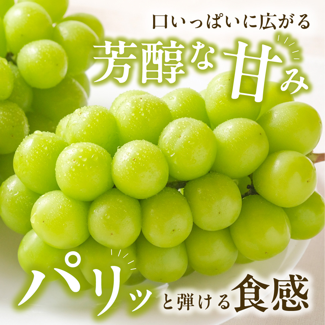 【2025年発送分 先行受付スタート！】【定期便】岡山県産　桃 約4kg・シャインマスカット 約5kg 計6回発送