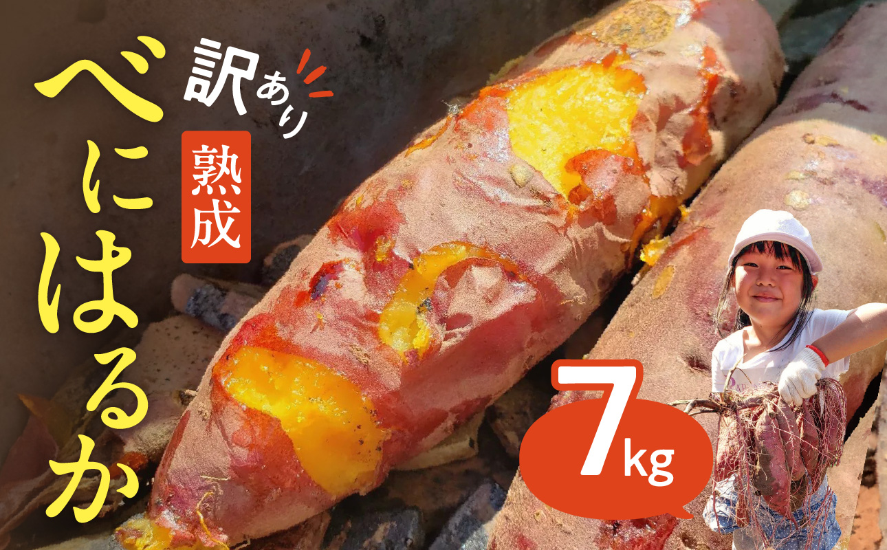 【訳アリ】サツマイモ　べにはるか　7kg　