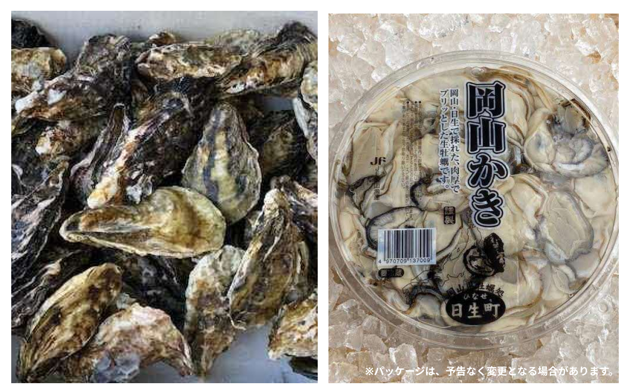 【備前市日生産】殻付き牡蠣 2kg 円盤牡蠣 1枚 セット【 全国牡蠣-1グランプリ豊洲2024 加熱部門初代グランプリ受賞！殻付き牡蠣 2kg 円盤牡蠣 1枚 蒸しカキ 焼き牡蠣 牡蠣フライ】