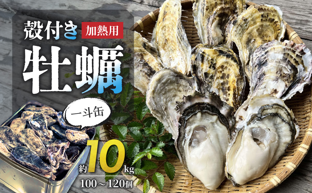 【 2025年発送 】殻付き牡蠣(一斗缶) 約10kg【 牡蠣 加熱用 約10kg 新鮮 蒸し牡蠣 焼き牡蠣 岡山県 備前市 】