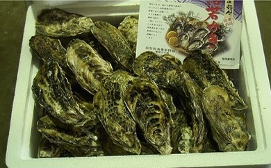 【2025年発送分】産地直送！岡山県日生産　殻付き牡蠣50個前後（5kg）【 全国牡蠣-1グランプリ豊洲2024 加熱部門初代グランプリ受賞！ 牡蠣 5kg 加熱用 蒸しカキ 焼き牡蠣 】