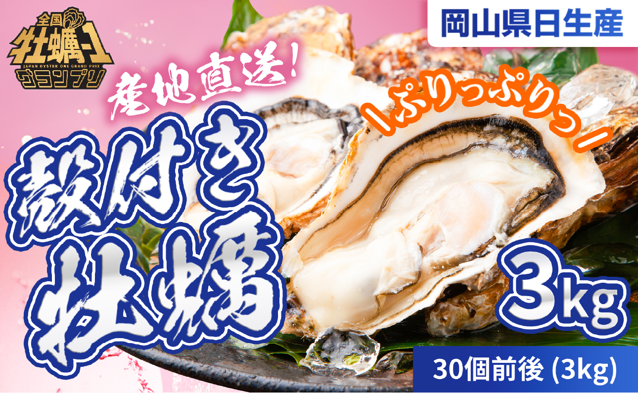 【2025年発送分】産地直送！岡山県日生産　殻付き牡蠣30個前後（3kg）【 全国牡蠣-1グランプリ豊洲2024 加熱部門初代グランプリ受賞！ 牡蠣 3kg 加熱用 蒸しカキ 焼き牡蠣 】