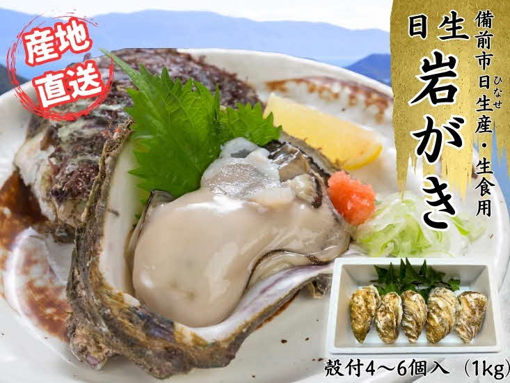 【 2025年発送 】岡山県日生産 岩ガキ1kg（4～6粒・生食用）