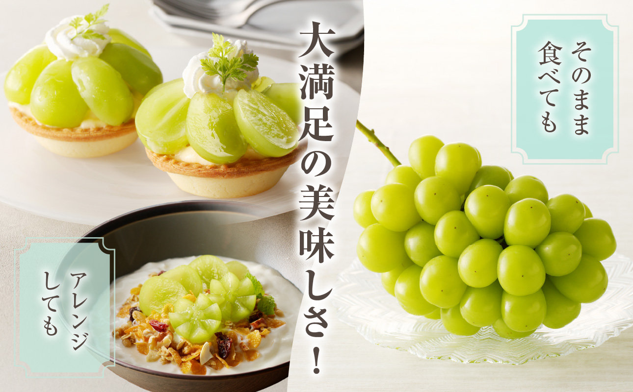 【2026年発送分 先行受付スタート！】岡山県産シャインマスカット「晴王」秀品　約1.5kg（2房）（令和8年8月中旬～11月中旬頃発送）【 シャインマスカット 晴王 フルーツ 果物 くだもの 葡萄 ぶどう 御中元 ギフト プレゼント 御祝 岡山県産 秀品 種無し 高糖度 】hz-s