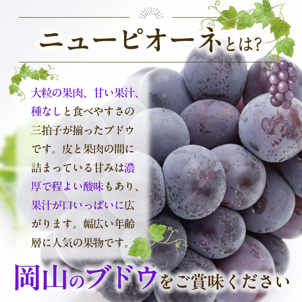 【2026年発送分 先行受付スタート！】【定期便】岡山県産 白桃 約4kg・ぶどう 約5kg 計５回発送【ニューピオーネ シャインマスカット 晴王 葡萄 ぶどう 白桃 桃 もも 果物 くだもの フルーツ 定期便】