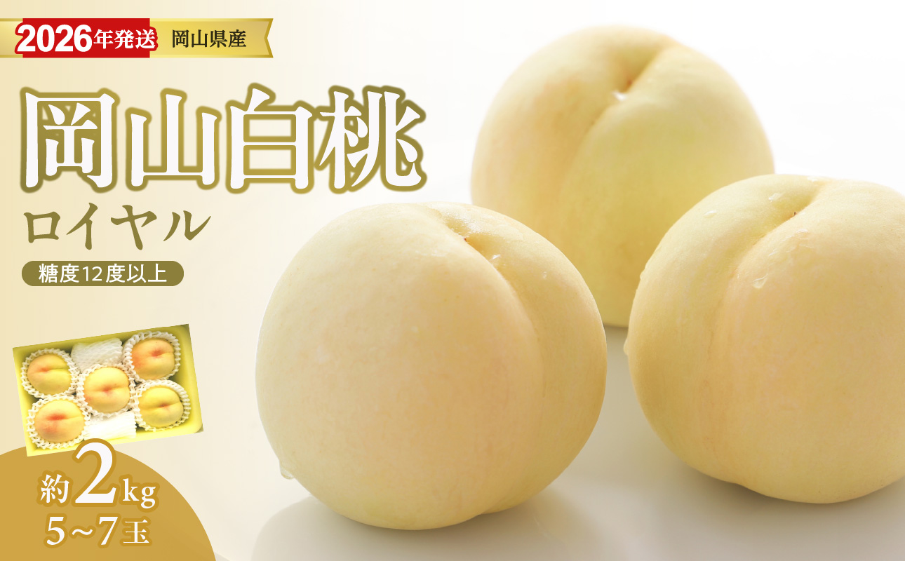 ã2026幎çºéå å
è¡åä»ã¹ã¿ãŒãïŒã岡山çç£ çœæ¡ æé«ã©ã³ã¯ïŒããã€ã€ã«ã çŽ2kgïŒä»€å8幎7æä»¥éçºéïŒã çœæ¡ãã€ã€ã« ãã«ãŒã æç© ãã ãã® ãã æ¡ ã¢ã¢ 岡山çç£ ãhz-m