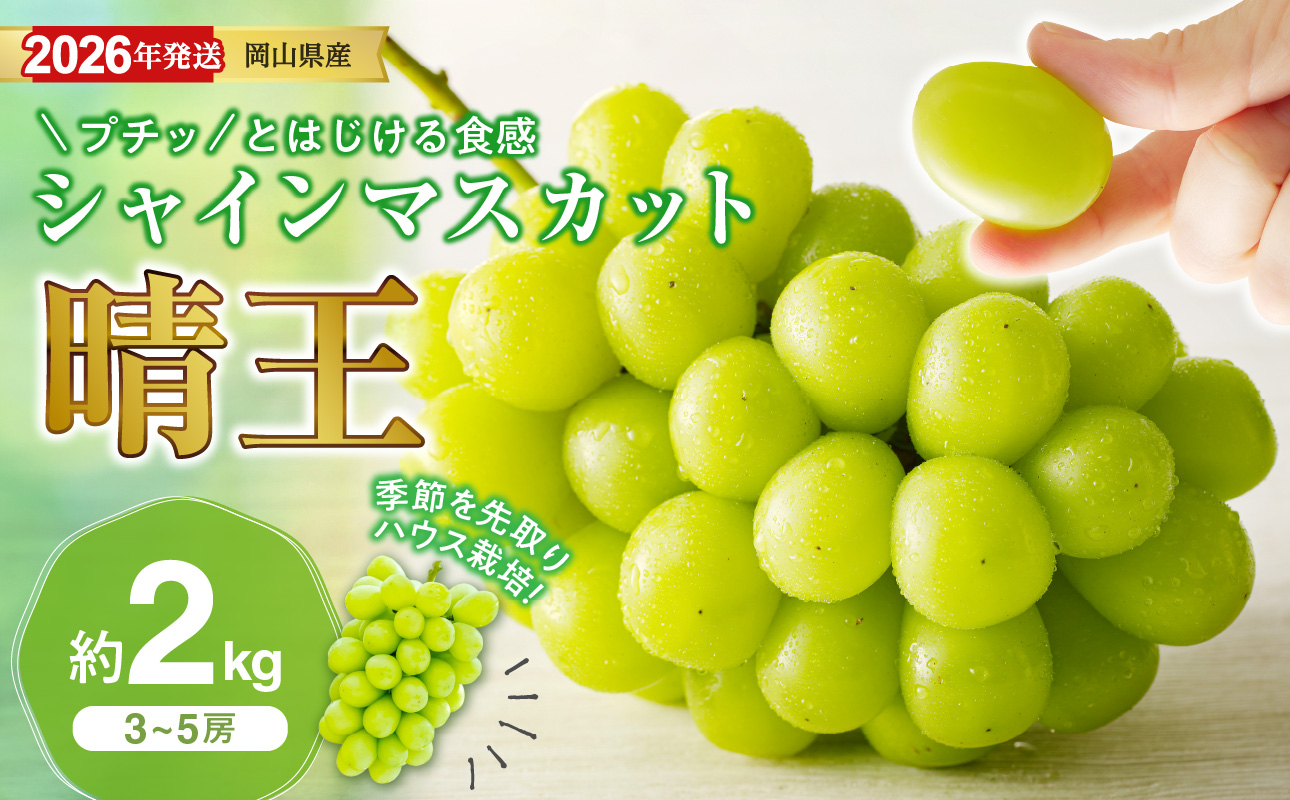 【2026年発送分 先行受付スタート！】岡山県産シャインマスカット「晴王」【ハウス栽培】約2kg（3～5房程度）（令和8年7月以降発送）【 シャインマスカット 晴王 フルーツ 果物 くだもの 葡萄 ぶどう 岡山県産 秀品 大房 種無し 高糖度 ハウス栽培】hz-s