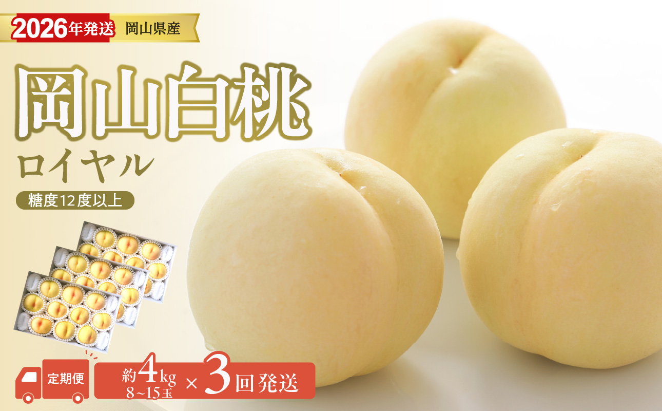 【2026年発送分 先行受付スタート！】【定期便】岡山県産 白桃 最高ランク！「ロイヤル」約4kg×3回発送【 白桃ロイヤル フルーツ 果物 くだもの もも 桃 モモ 岡山県産 】