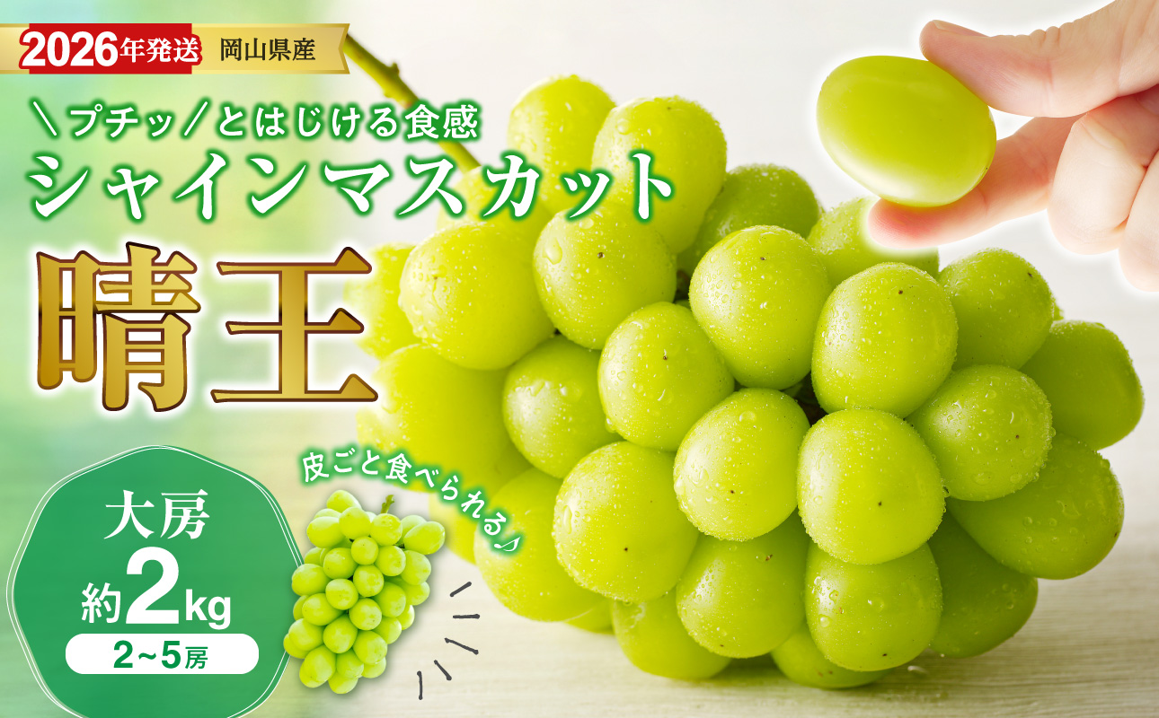 【2026年発送分 先行受付スタート！】岡山県産シャインマスカット「晴王」秀品　大房　（約2kg・2～5房程度）（令和8年8月中旬～11月中旬頃発送）【 シャインマスカット 晴王 フルーツ 果物 くだもの 葡萄 ぶどう 岡山県産 秀品 大房 種無し 高糖度 】hz-s