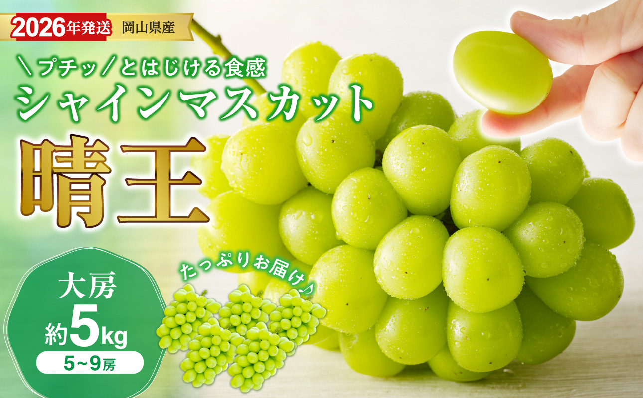 【2026年発送分 先行受付スタート！】岡山県産シャインマスカット「晴王」秀品 大房　約5kg（5～9房程度）（令和8年8月中旬～11月中旬頃発送）【 シャインマスカット 晴王 フルーツ 果物 くだもの 葡萄 ぶどう 岡山県産 秀品 大房 種無し 高糖度 】hz-s