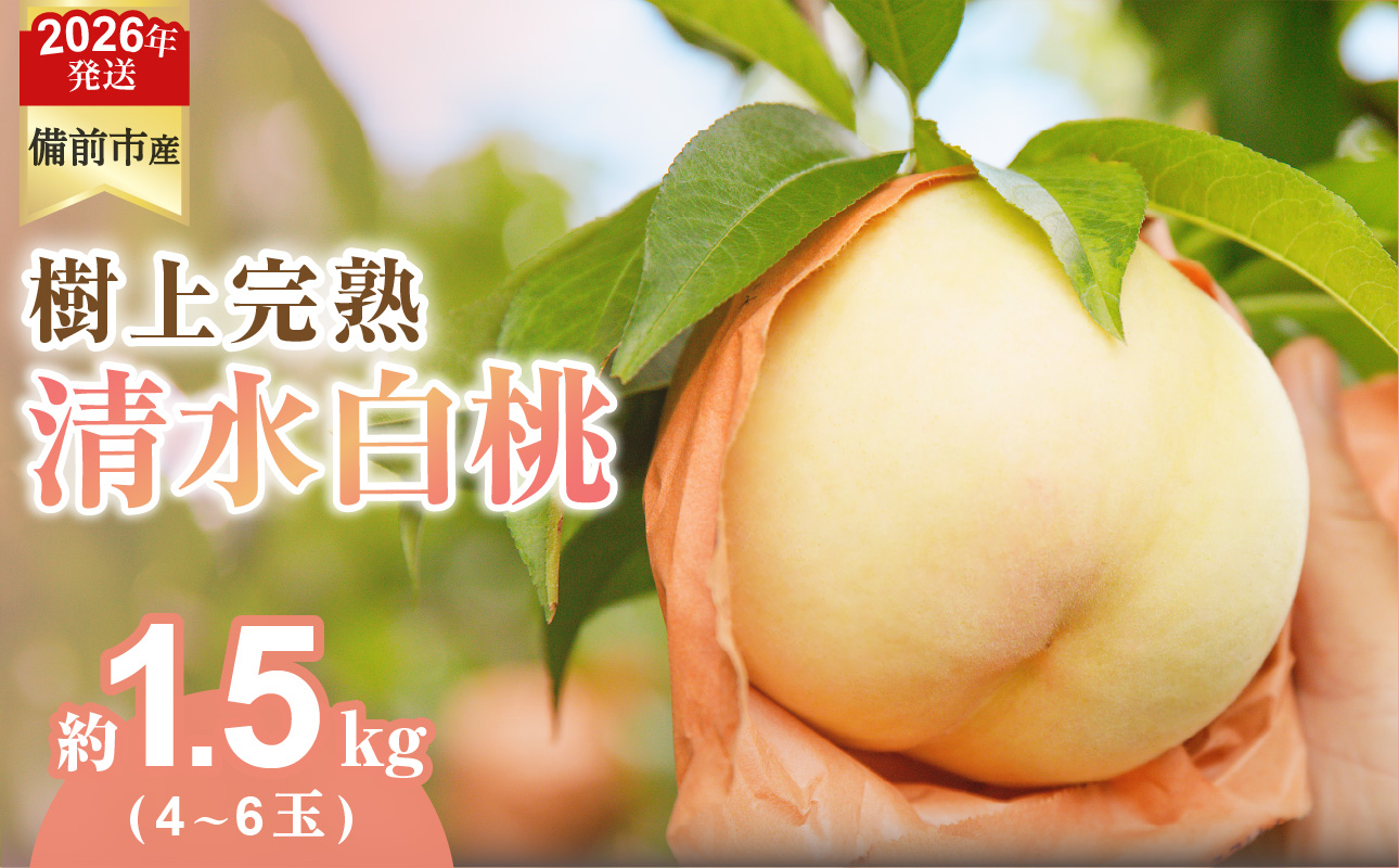 ã2026幎çºéåãå
è¡åä»éå§ïŒãã³ããçœæ¡ãæž
æ°Žçœæ¡ãçŽ1.5kgïŒä»€å8幎7æäžæ¬ïœ7æäžæ¬é çºéïŒã 岡山çåååžç£ æž
æ°Žçœæ¡ çŽ1.5kg ïŒïŒïœïŒçç®å®ïŒ ã