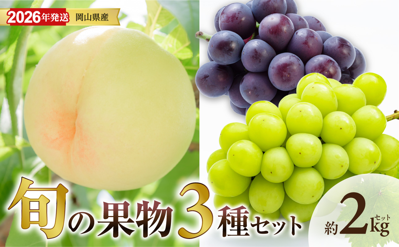 【 2026年発送 】岡山県産白桃 ロイヤル＆シャインマスカット＆ピオーネ 約2kgセット（令和8年6月中旬～8月上旬発送）【 白桃 糖度最上級 もも フルーツ モモ ロイヤル シャインマスカット ピオーネ ぶどう 大人気セット 岡山県産 くだもの王国岡山 】