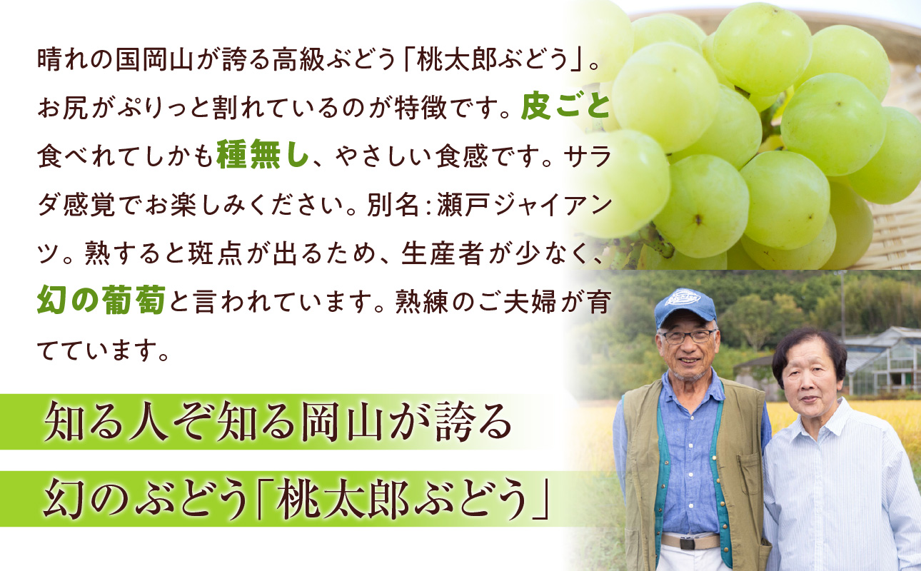 【2026年発送】備前市産 贈答用 桃太郎ぶどう 約2kg（9月初旬～10月初旬発送予定）【 フルーツ 桃太郎ぶどう 葡萄 果物 備前市産 贈答用 のし不可 晴れの国おかやま 】