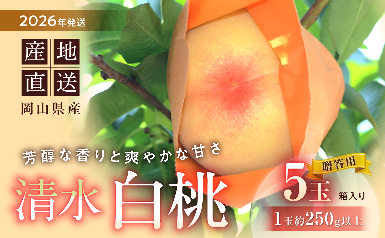 【2026年発送】清水白桃　5玉入り（7月下旬～8月初旬頃発送）【 清水白桃 晴れの国おかやま 白桃 桃 もも 岡山白桃 フルーツ 果物】