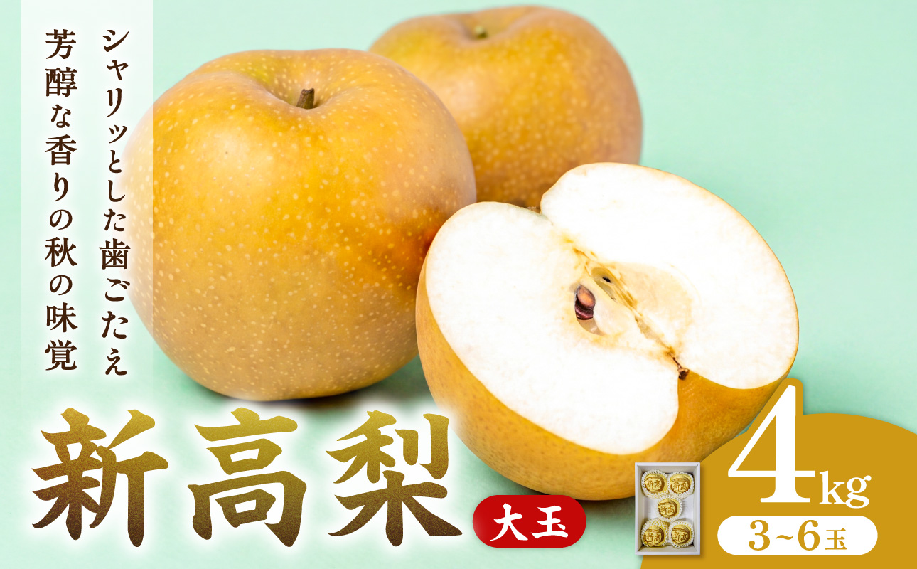 【2027年発送・先行予約】新高梨 3~6玉(約4kg) 化粧箱入り(令和9年9月下旬~11月上旬頃発送)【フルーツ 果物 くだもの のし不可 なし 岡山県産 先行受付】