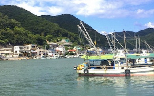 譌・逕溯ォク蟲カ縲驕頑シ∬飴菴馴ィ
