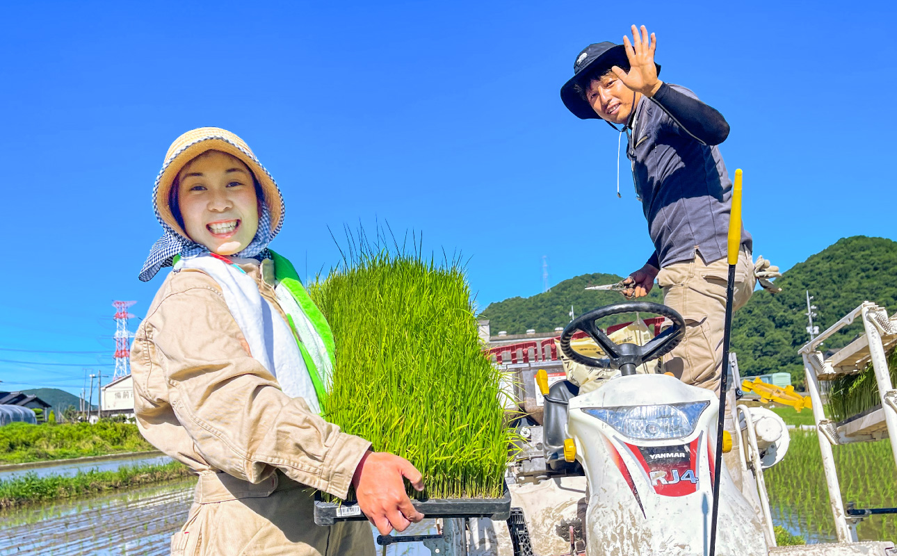 â
åçš®ããŸããïŒâ
ã什å7幎ç£ã粟米ãéŠç»ç±³(ãããšãŸã) 5kgã米粟 ç±³ ã飯 ææ¥ ã¢ã±ãã ãã¬ãããã