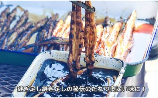 【訳あり】穴子 国産 焼穴子 炭火焼 6～12本入（400g前後） タレ付き
