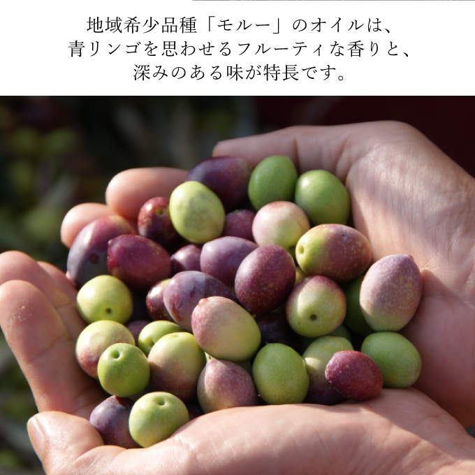 ãªãªãŒããªã€ã« ãšãã¹ãã©ããŒãžã³ ãªãªãŒã ãªã€ã« ãã«ããµ 1æ¬å
¥ç®± 10ã»ãã æ²¹ ãªãªãŒãæ²¹ é£çšæ²¹ èª¿å³æ ã»ãã ã®ãã èŽãç© 2024幎