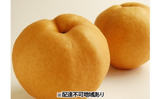 梨 早期受付 岡山 の あたご 梨 2〜3玉（2kg以上） 合計2kg以上 なし ナシ  岡山県産 国産 フルーツ 果物 ギフト桃茂実苑 あたご梨 糖度12.5度以上 2キロ