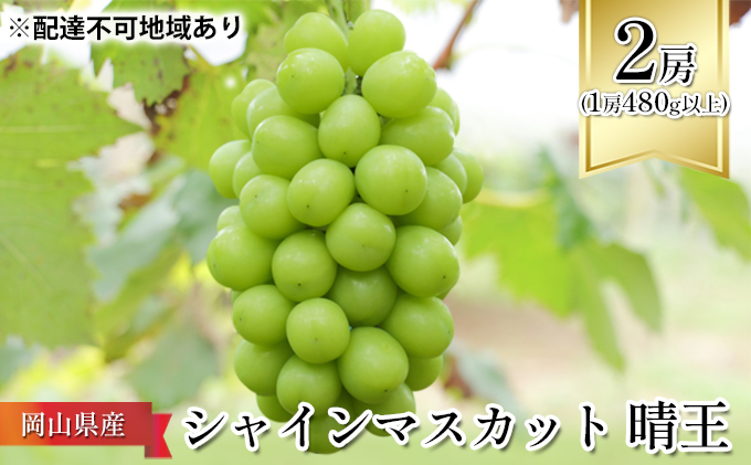 ぶどう 2026年 先行予約 シャイン マスカット 晴王 2房 （1房480g以上） 化粧箱入り マスカット ブドウ 葡萄  岡山県産 国産 フルーツ 果物 ギフト はれおう
