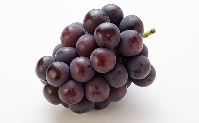 ã¶ã©ã 2026幎 å
è¡äºçŽ ãã¥ãŒ ããªãŒã 4æ¿ïŒ1æ¿480g以äžïŒ ãã㊠è¡è 岡山çç£ åœç£ ãã«ãŒã æç© ã®ãã ãã¥ãŒããªãŒã