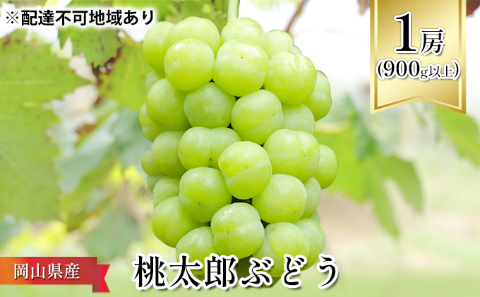 ぶどう 2026年 先行予約 桃太郎 ぶどう 1房（900g以上） ブドウ 葡萄  岡山県産 国産 フルーツ 果物 ギフト 化粧箱 贈答品