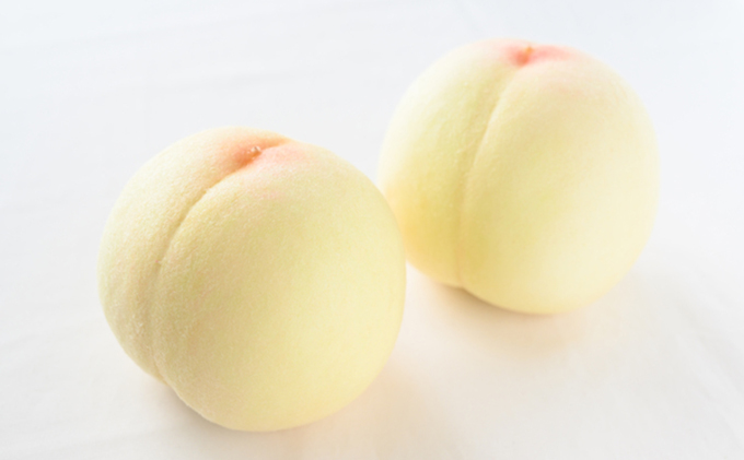 桃 ぶどう 2026年 先行予約 詰め合わせ 白桃 2玉（1玉220g以上）・ニュー ピオーネ２房（1房480g以上）化粧箱入り もも 葡萄 岡山県産 国産 フルーツ 果物 ギフト マスカット ニューピオーネ 