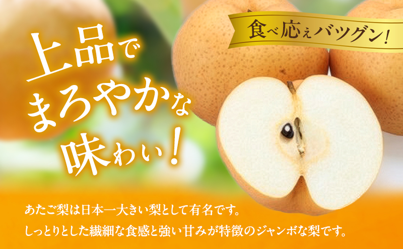 梨 2026年 備前横綱梨（あたご梨）3玉（1玉1〜1.4kg）贈答箱 【11月下旬〜12月中旬頃発送】 ナシ なし 岡山県産 国産 フルーツ 果物 ギフト 石原果樹園