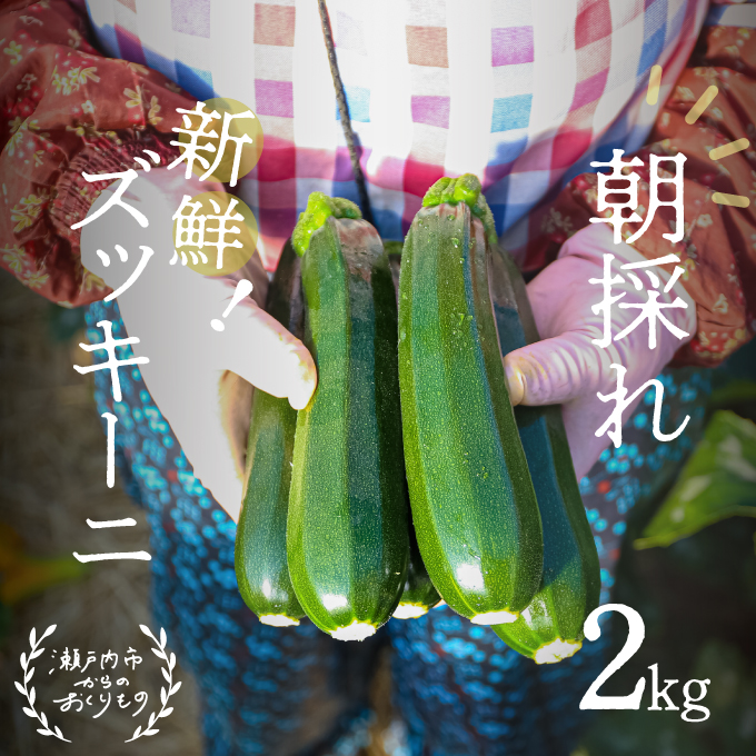 瀬戸内 牛窓産 ズッキーニ 約2kg（12本前後） 野菜 岡山県産