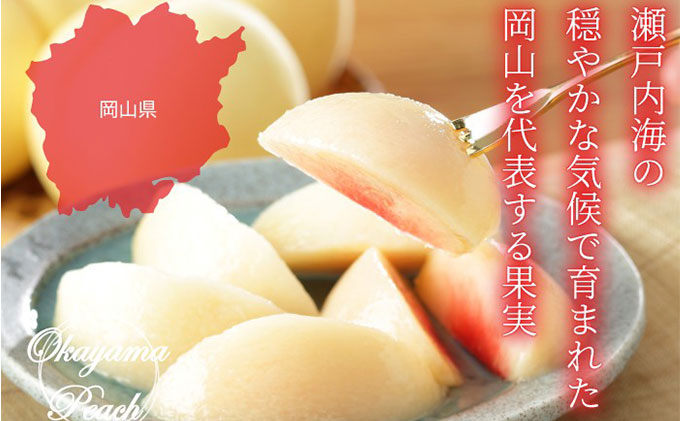 桃 2026年 先行予約 岡山 白桃 ロイヤル 4〜8玉 約1.5kg JAおかやまのもも（早生種・中生種） もも モモ 岡山県産 国産 フルーツ 果物 ギフト 