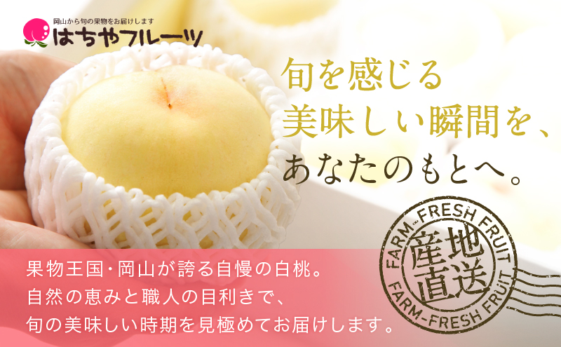 桃 2026年 先行予約 岡山 白桃 ロイヤル  約1kg 4〜6玉 JAおかやまのもも（早生種・中生種） もも モモ 岡山県産 国産 フルーツ 果物 ギフト 