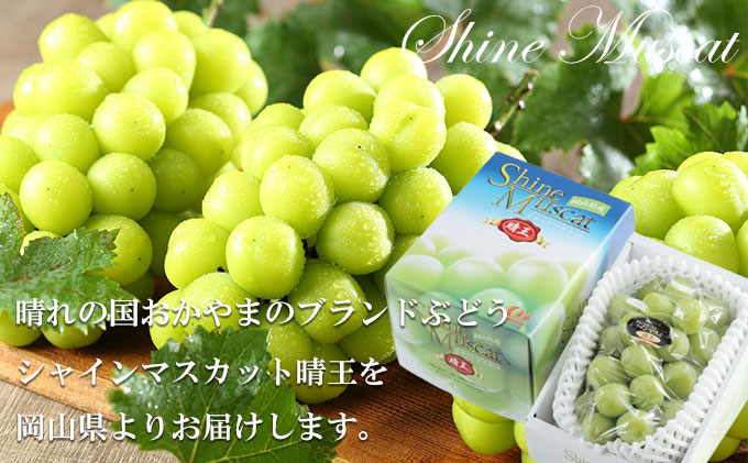 ぶどう 2026年 先行予約 シャイン マスカット 晴王 約800g×1房 7月上旬～8月中旬発送 ブドウ 葡萄  岡山県産 国産 フルーツ 果物 ギフト 