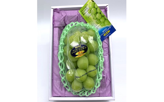 ぶどう 2026年 先行予約 シャイン マスカット 晴王 1房 950g前後 ブドウ 葡萄  岡山県産 国産 フルーツ 果物 ギフト 果物類 種なし デザート 食後 おやつ 産地直送 