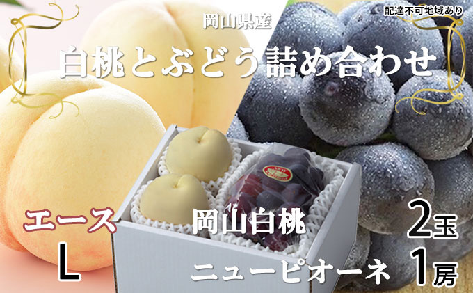 岡山白桃 エース 2玉×約200g（Lサイズ、早生種・中生種）ニューピオーネ 1房約400g 詰合せ 岡山県産 果物類 ぶどう ブドウ 種なし もも モモ フルーツ デザート 食後 おやつ 産地直送 
