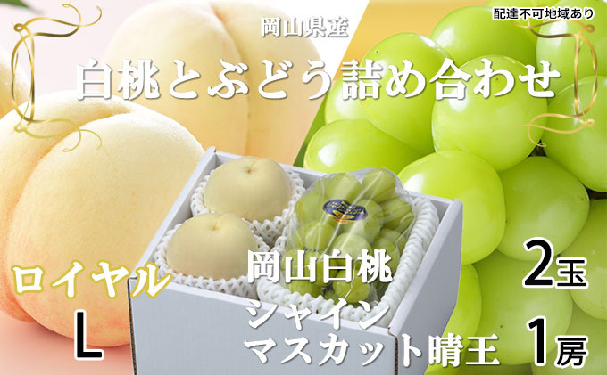 岡山白桃 ロイヤル 2玉×約200g(Lサイズ、早生種・中生種)シャインマスカット 晴王 1房約400g 詰合せ 岡山県産 果物類 ぶどう ブドウ 種無し もも モモ フルーツ デザート 食後 おやつ 産地直送