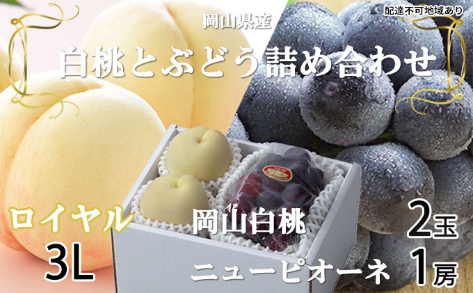 岡山白桃 ロイヤル 2玉×約300g（3Lサイズ、早生種・中生種）ニューピオーネ 1房約600g 詰合せ 岡山県産 果物類 ぶどう ブドウ 種なし もも モモ フルーツ デザート 食後 おやつ 産地直送 