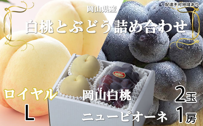 岡山白桃 ロイヤル 2玉×約200g(Lサイズ、早生種・中生種)ニューピオーネ 1房約400g 詰合せ 岡山県産 果物類 ぶどう ブドウ 種なし もも モモ フルーツ デザート 食後 おやつ 産地直送