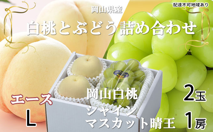 岡山白桃 エース 2玉×約200g(Lサイズ、早生種・中生種)シャインマスカット 晴王 1房約400g 詰合せ 岡山県産 果物類 ぶどう ブドウ 種なし もも モモ フルーツ デザート 食後 産地直送