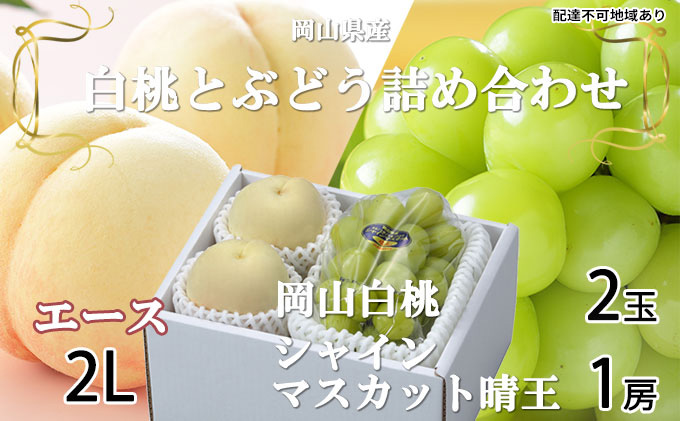 岡山白桃 エース 2玉×約250g（2Lサイズ、早生種・中生種）シャインマスカット 晴王 1房約500g 詰合せ 岡山県産 果物類 ぶどう ブドウ 種なし もも モモ フルーツ デザート 食後 産地直送 