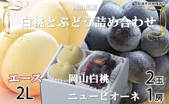 岡山白桃 エース 2玉×約250g(2Lサイズ、早生種・中生種)ニューピオーネ 1房約500g 詰合せ 岡山県産 果物類 ぶどう ブドウ 種なし もも モモ フルーツ デザート 食後 おやつ 産地直送
