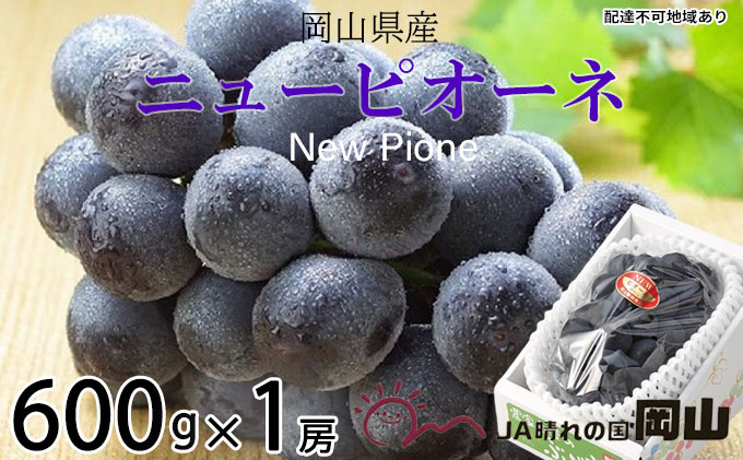 ぶどう 2026年 先行予約 ニュー ピオーネ 約600g×1房 6月下旬～7月下旬発送 ブドウ 葡萄  岡山県産 国産 フルーツ 果物 ギフト 果物類 種なし デザート 食後 おやつ 産地直送