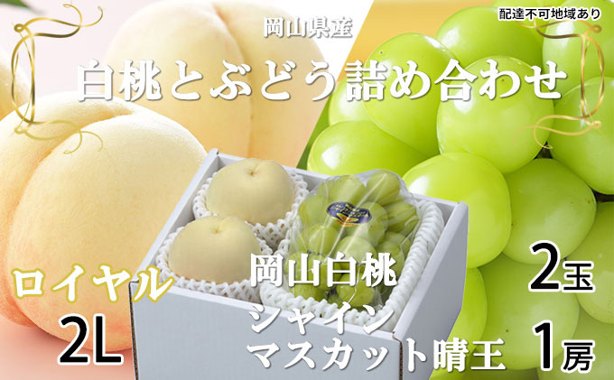 岡山白桃 ロイヤル 2玉×約250g（2Lサイズ、早生種・中生種）シャインマスカット 晴王 1房約500g 詰合せ 岡山県産 果物類 ぶどう ブドウ 種無し フルーツ デザート 食後 おやつ 産地直送